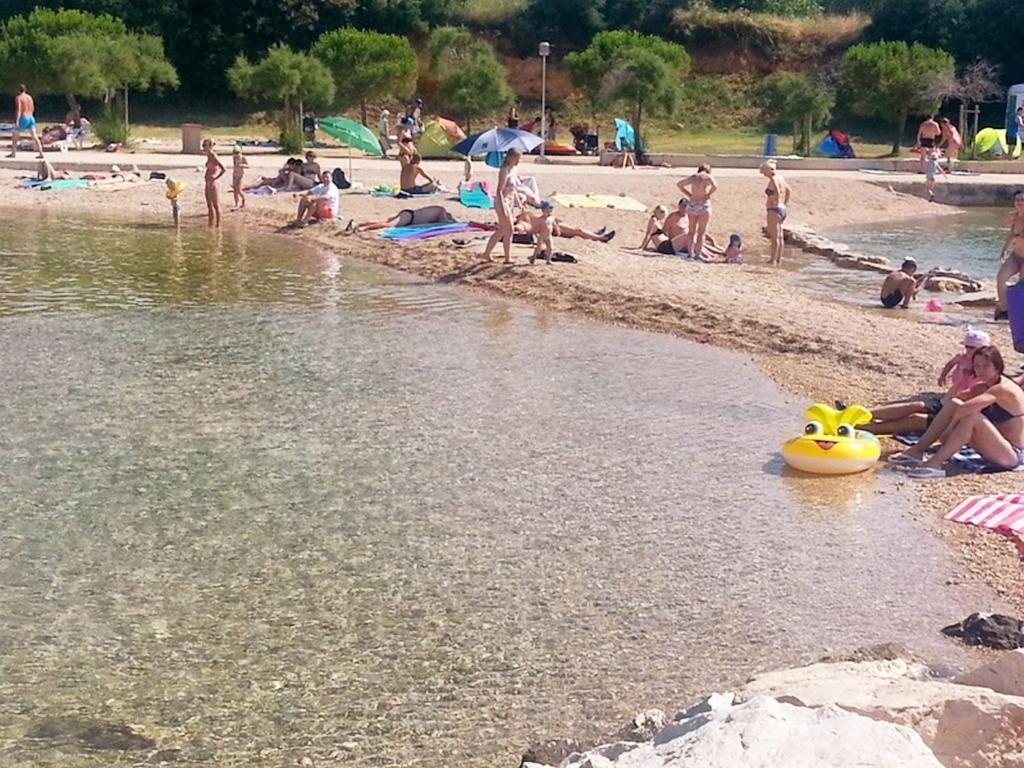 Family Friendly Apartments With A Swimming Pool Sveti Filip I Jakov, Biograd - 19325 Esterno foto